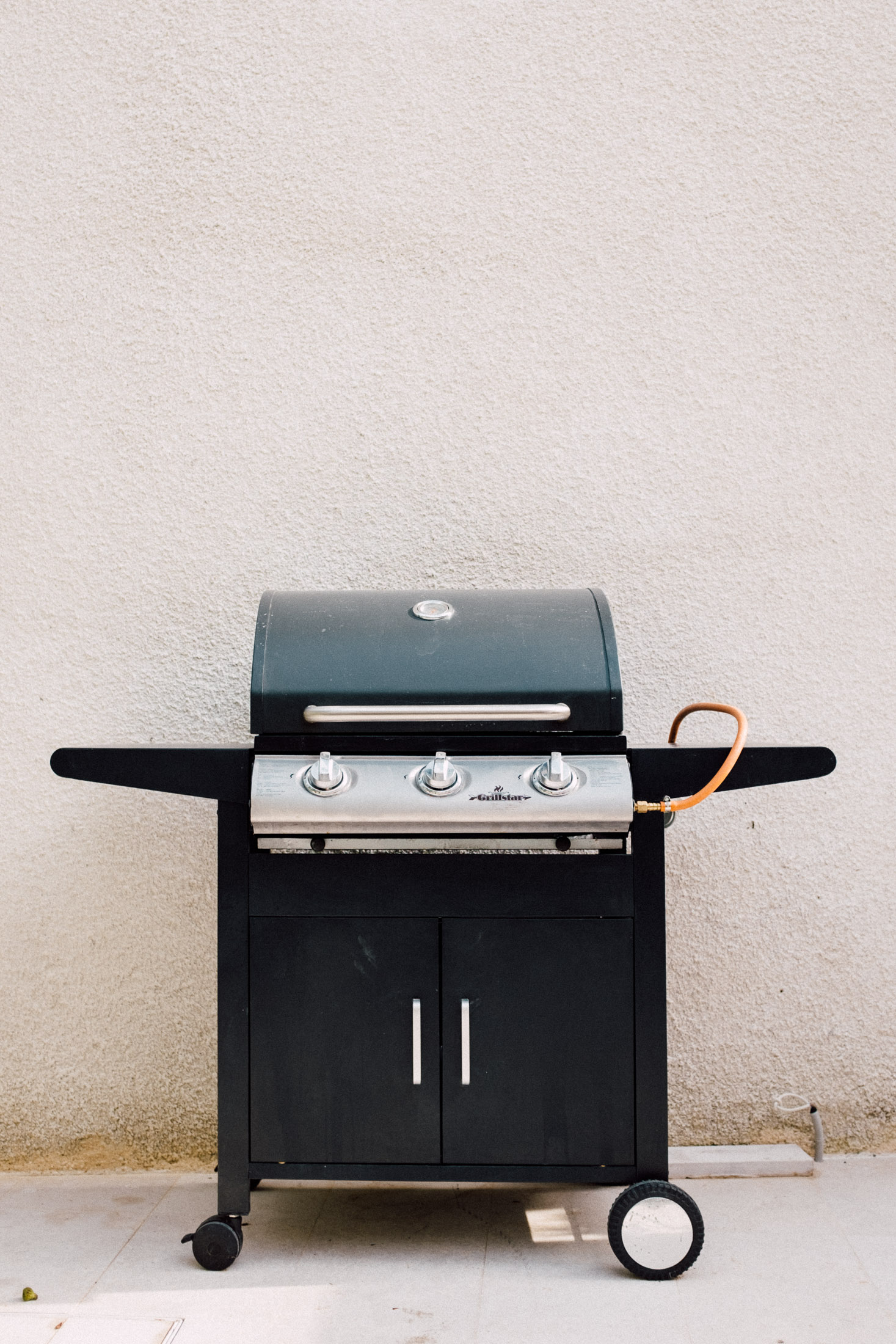 Mediterranean Garden - Photo 5